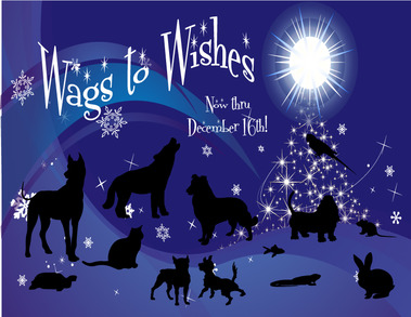 Wags to Wishes Wags to Wishes
